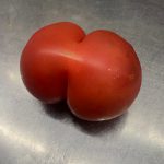 プリティーなトマト！！