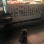 うちの長男