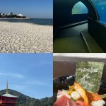 和歌山に行ってきました！
